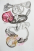 Lamediumargentina, cm. 38x56, collage china e acquerello, 2009