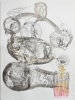 Grappolodimemoria, cm. 45x61, collage china e acquerello, 2009