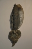 Stoccata-riprendolavita, cm. 35x96x18, ceramica raku, 1988