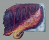 Pieve, cm. 50x50x5, olio su tavola sagomata, 1983